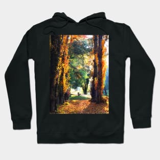 Autumn in Bright, Victoria Hoodie